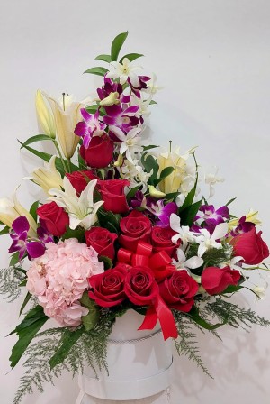 Imagen Producto